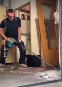 whatsapp image 2026 01 26 at 13.16.23